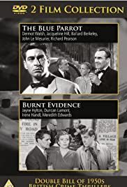 Burnt Evidence Burnt Evidence