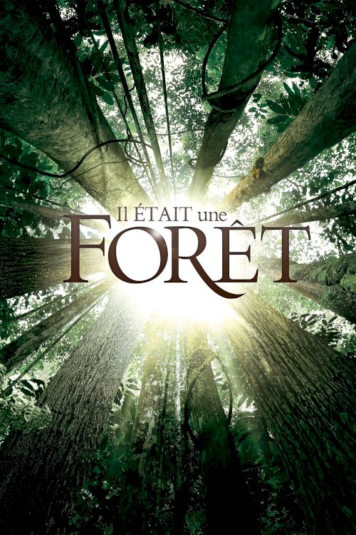 Once Upon a Forest Once Upon a Forest