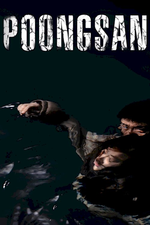 Poongsan Poongsan