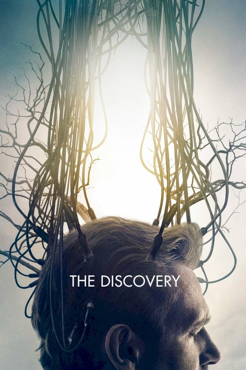 The Discovery The Discovery