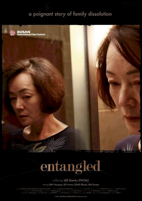 Entangled Entangled