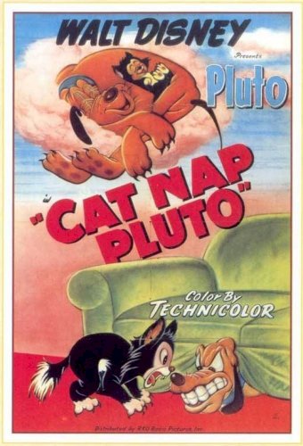 Cat Nap Pluto Cat Nap Pluto