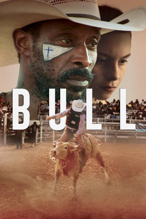 Bull Bull