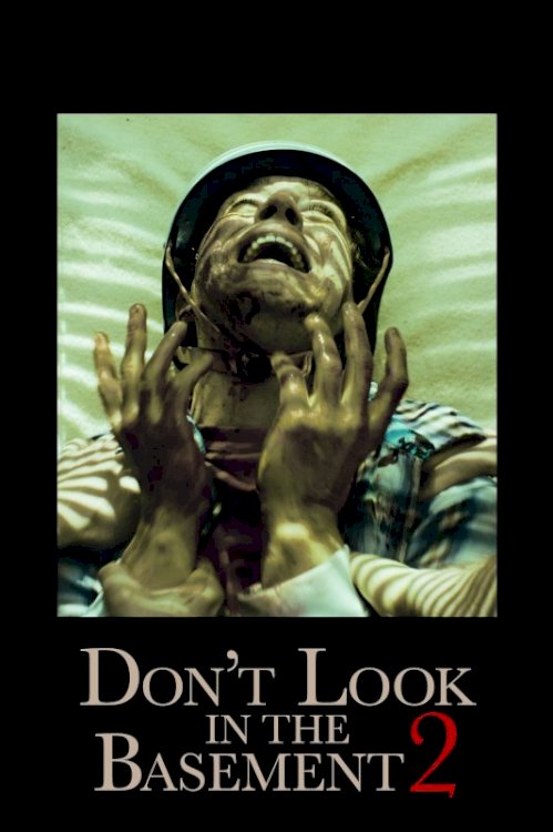 Don't Look in the Basement 2 Don't Look in the Basement 2