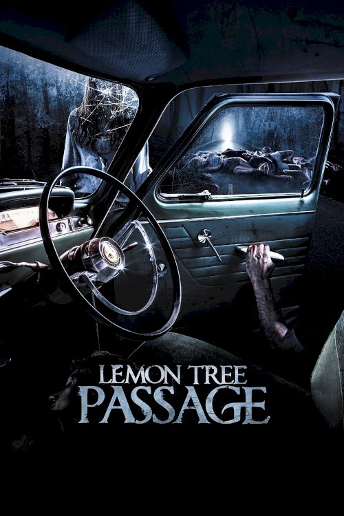 Lemon Tree Passage Lemon Tree Passage
