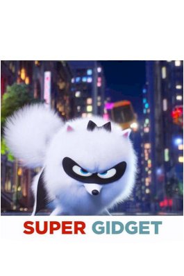 Super Gidget Super Gidget