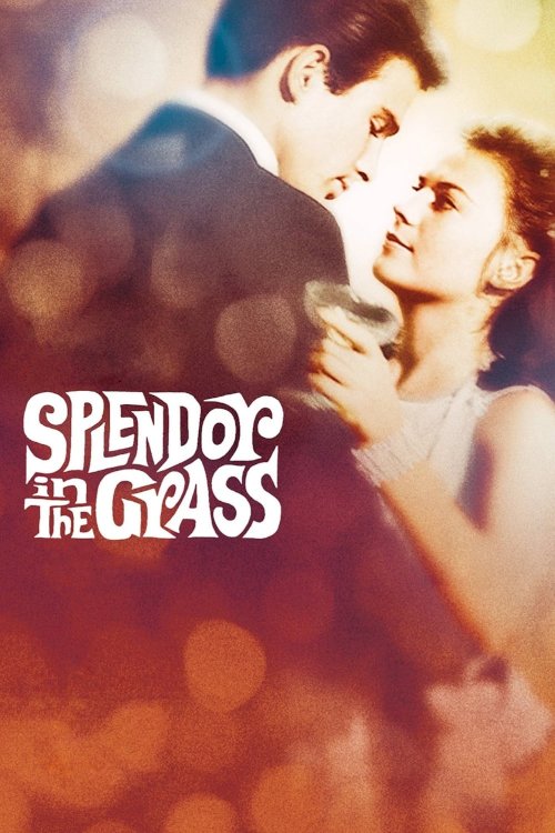 Splendor in the Grass Splendor in the Grass