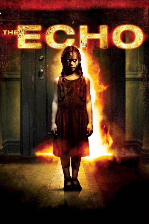The Echo The Echo