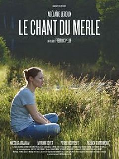Le chant du merle noir au crépuscule Le chant du merle noir au crépuscule