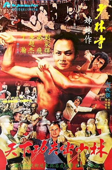 Fury in Shaolin Temple Fury in Shaolin Temple
