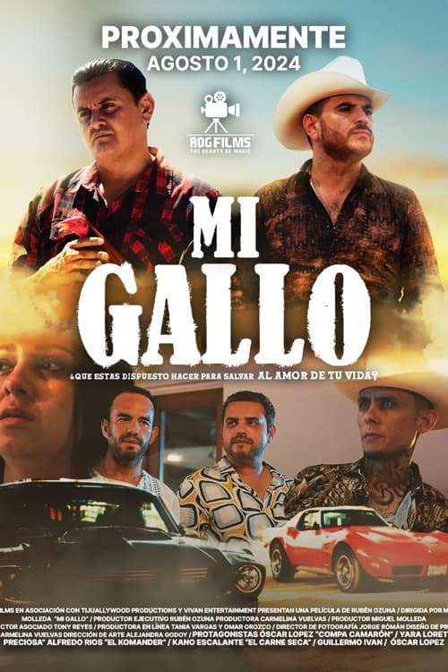 Mi Gallo Mi Gallo