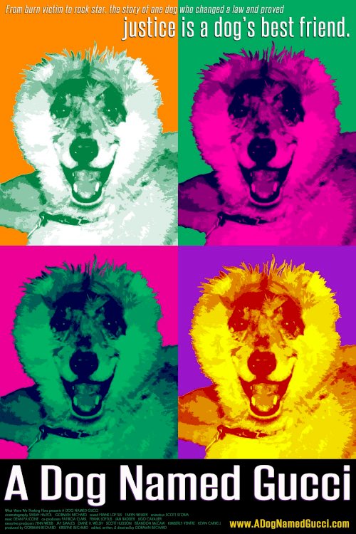 A Dog Named Gucci A Dog Named Gucci