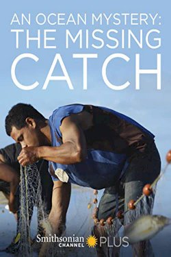 An Ocean Mystery: The Missing Catch An Ocean Mystery: The Missing Catch