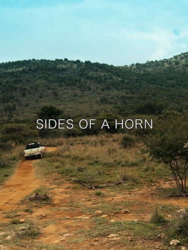 Sides of a Horn Sides of a Horn