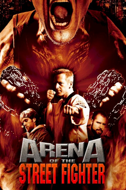 Arena of the Street Fighter Arena of the Street Fighter