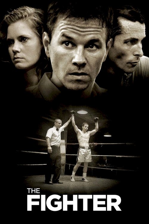 The Fighter The Fighter
