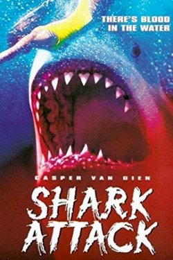 Shark Attack Shark Attack