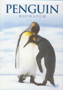 Penguin Baywatch Antarctica Penguin Baywatch Antarctica