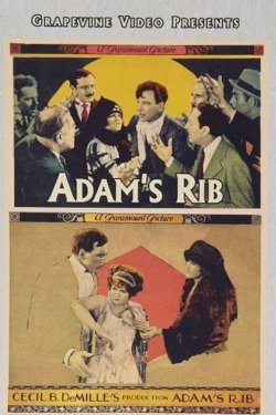 Adam's Rib Adam's Rib