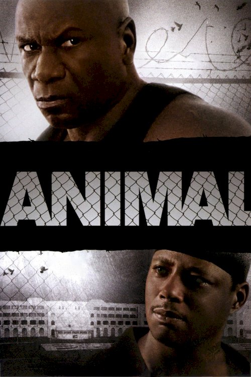 Animal Animal