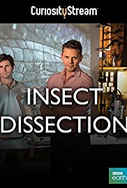 Insect Dissection: How Insects Work Insect Dissection: How Insects Work