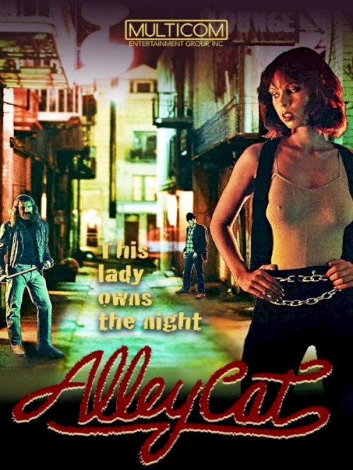 Alley Cat Alley Cat