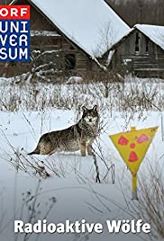 Radioactive Wolves: Chernobyl's Nuclear Wilderness Radioactive Wolves: Chernobyl's Nuclear Wilderness