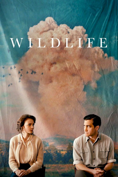 Wildlife Wildlife