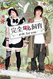 Perfect Education: A Maid for You Perfect Education: A Maid for You