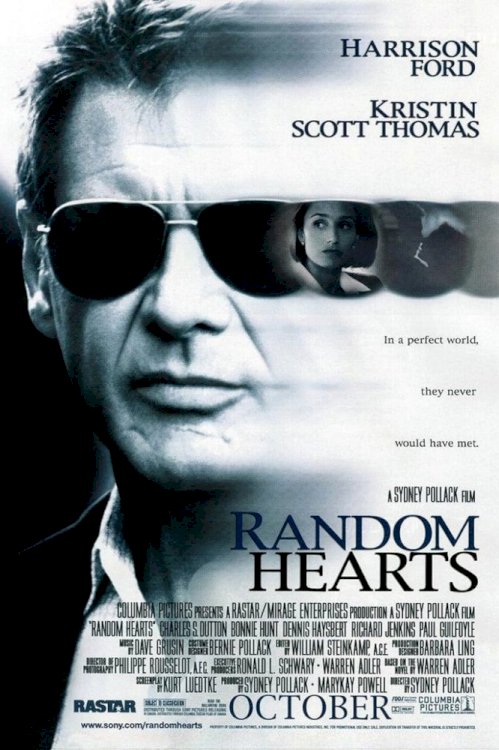 Random Hearts Random Hearts