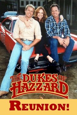 The Dukes of Hazzard: Reunion! The Dukes of Hazzard: Reunion!