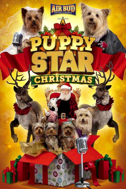 Puppy Star Christmas Puppy Star Christmas