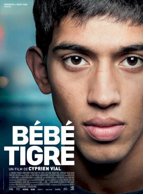 Young Tiger Young Tiger