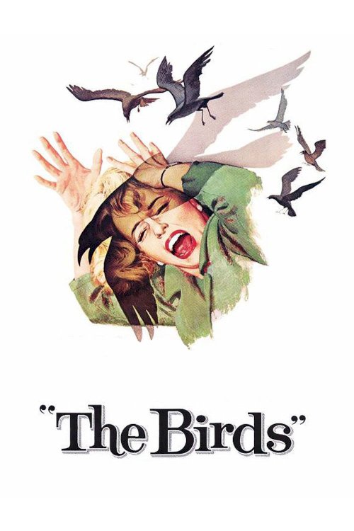 The Birds The Birds