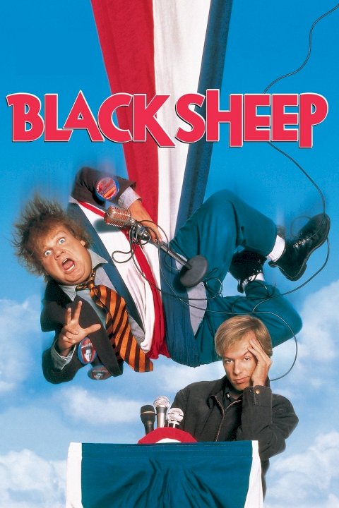 Black Sheep Black Sheep