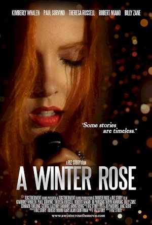 A Winter Rose A Winter Rose