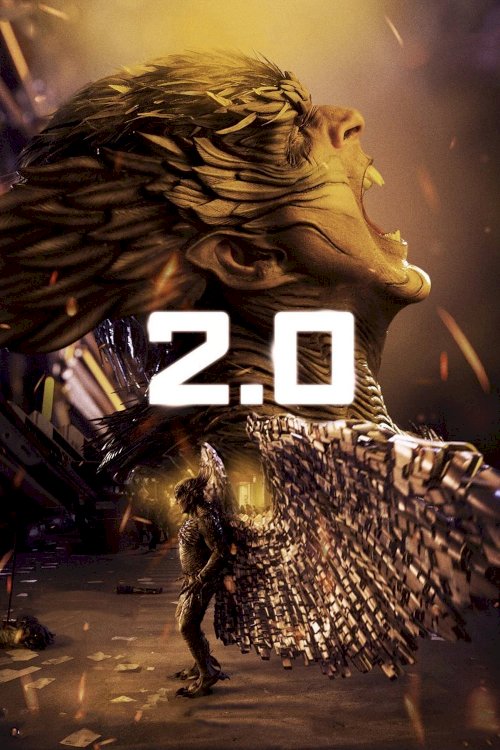 2.0 2.0