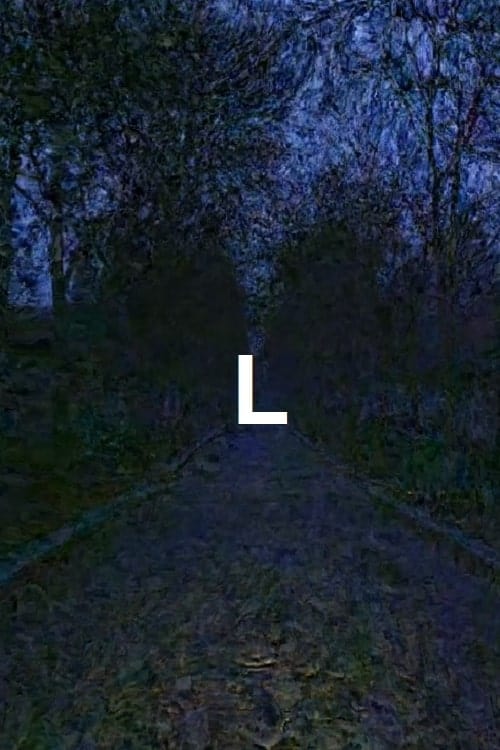 L L