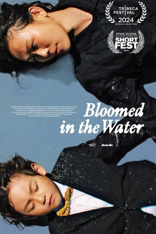 Bloomed in the Water Bloomed in the Water