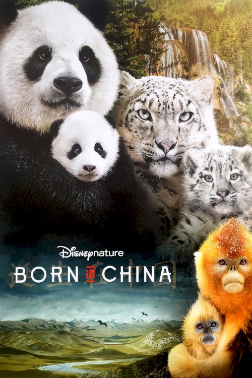 Born in China Born in China