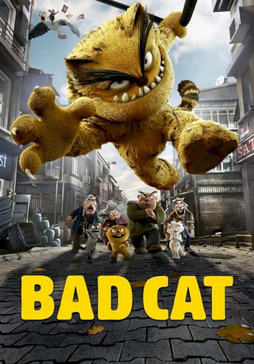 Bad Cat Bad Cat