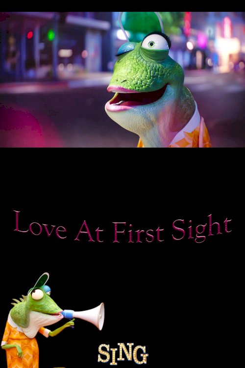 Love at First Sight Love at First Sight