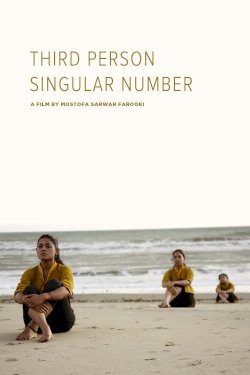 Third Person Singular Number Third Person Singular Number