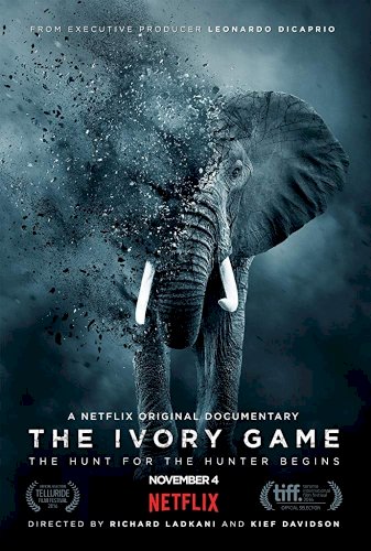 The Ivory Game