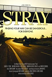 Stray Stray