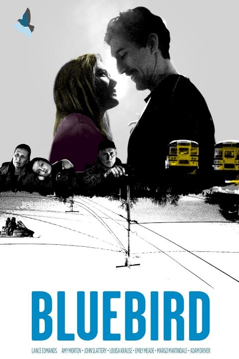 Bluebird Bluebird