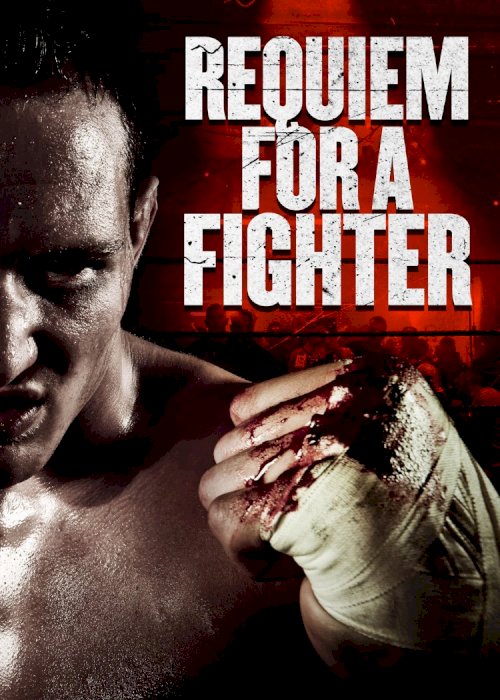 Requiem for a Fighter Requiem for a Fighter