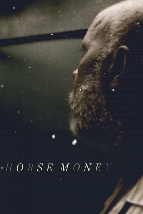 Horse Money Horse Money