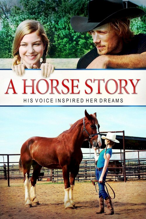 A Horse Story A Horse Story