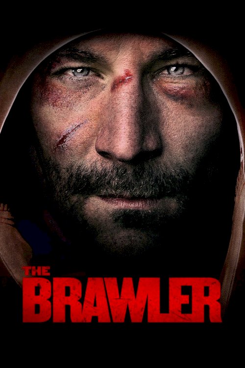 The Brawler The Brawler